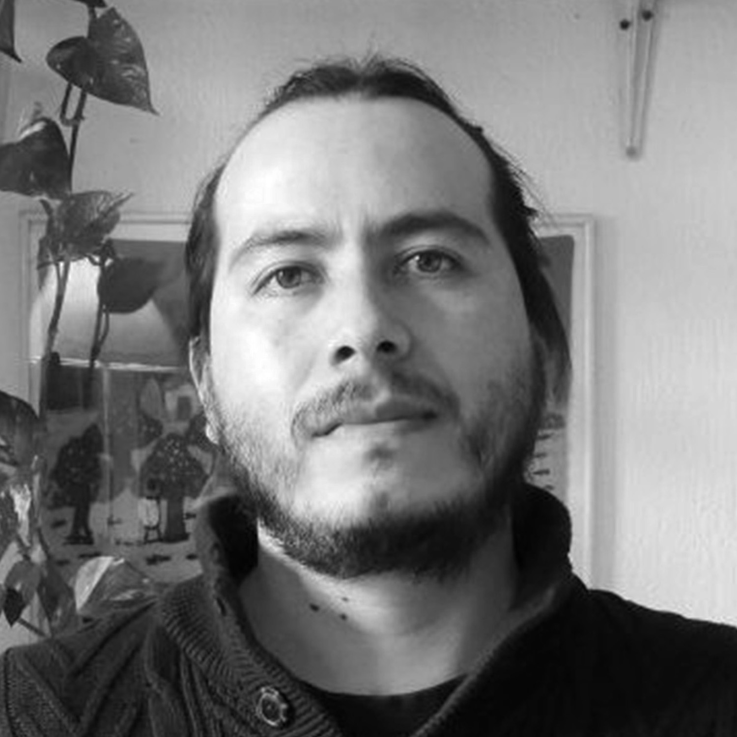 Javier Rodríguez Aedo