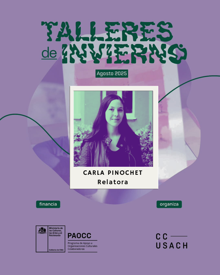 Carla Pinochet will teach workshops on Cultural Policy Models
